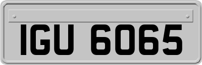 IGU6065