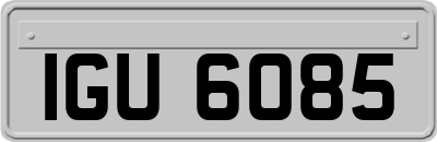 IGU6085