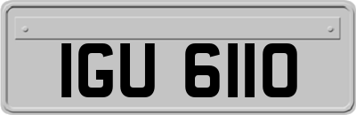 IGU6110