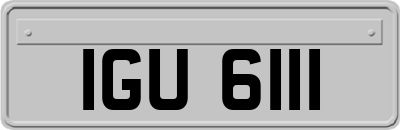 IGU6111