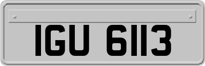 IGU6113
