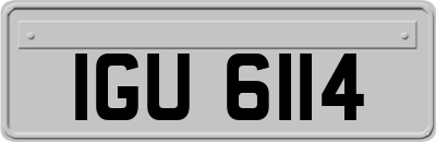 IGU6114