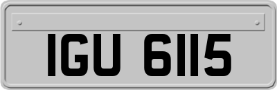IGU6115