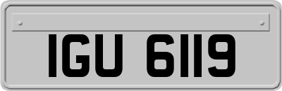 IGU6119