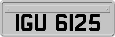 IGU6125