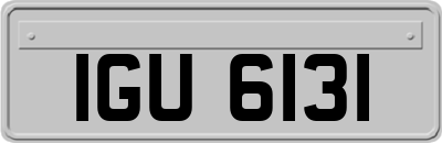 IGU6131