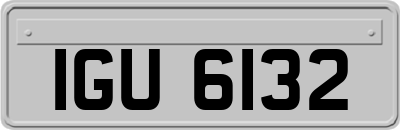 IGU6132
