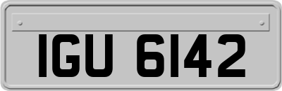 IGU6142