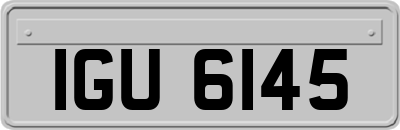 IGU6145