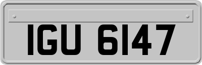 IGU6147