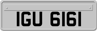 IGU6161