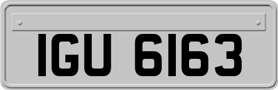 IGU6163