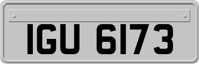 IGU6173