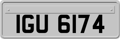IGU6174