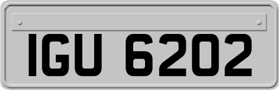 IGU6202