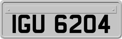 IGU6204