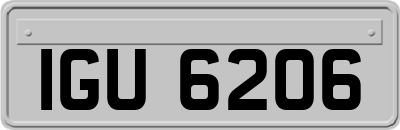 IGU6206