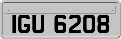 IGU6208