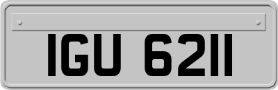 IGU6211