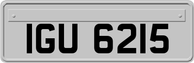 IGU6215