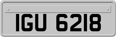 IGU6218