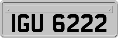 IGU6222
