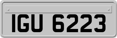 IGU6223