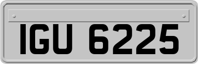 IGU6225