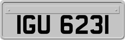 IGU6231