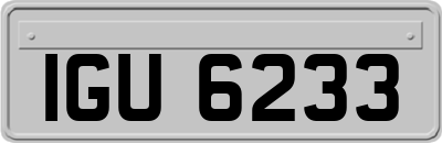 IGU6233