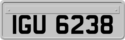 IGU6238