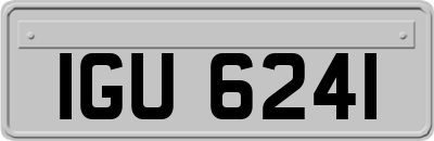 IGU6241