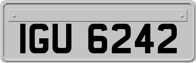 IGU6242