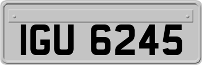 IGU6245