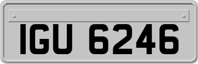 IGU6246