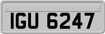 IGU6247
