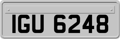 IGU6248