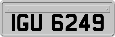 IGU6249