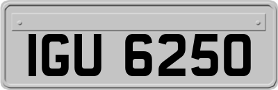 IGU6250