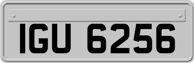 IGU6256