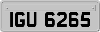 IGU6265