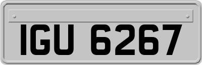 IGU6267