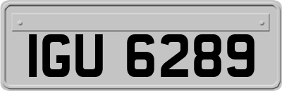 IGU6289