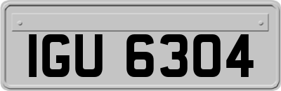 IGU6304