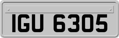 IGU6305