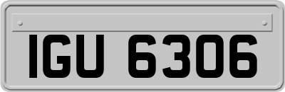 IGU6306