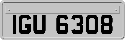 IGU6308