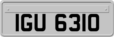 IGU6310
