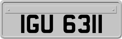 IGU6311