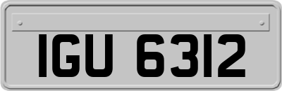 IGU6312